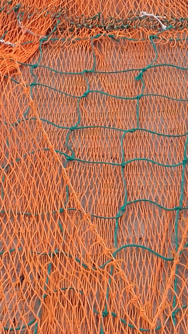 Latest on prawn trawl gear trials